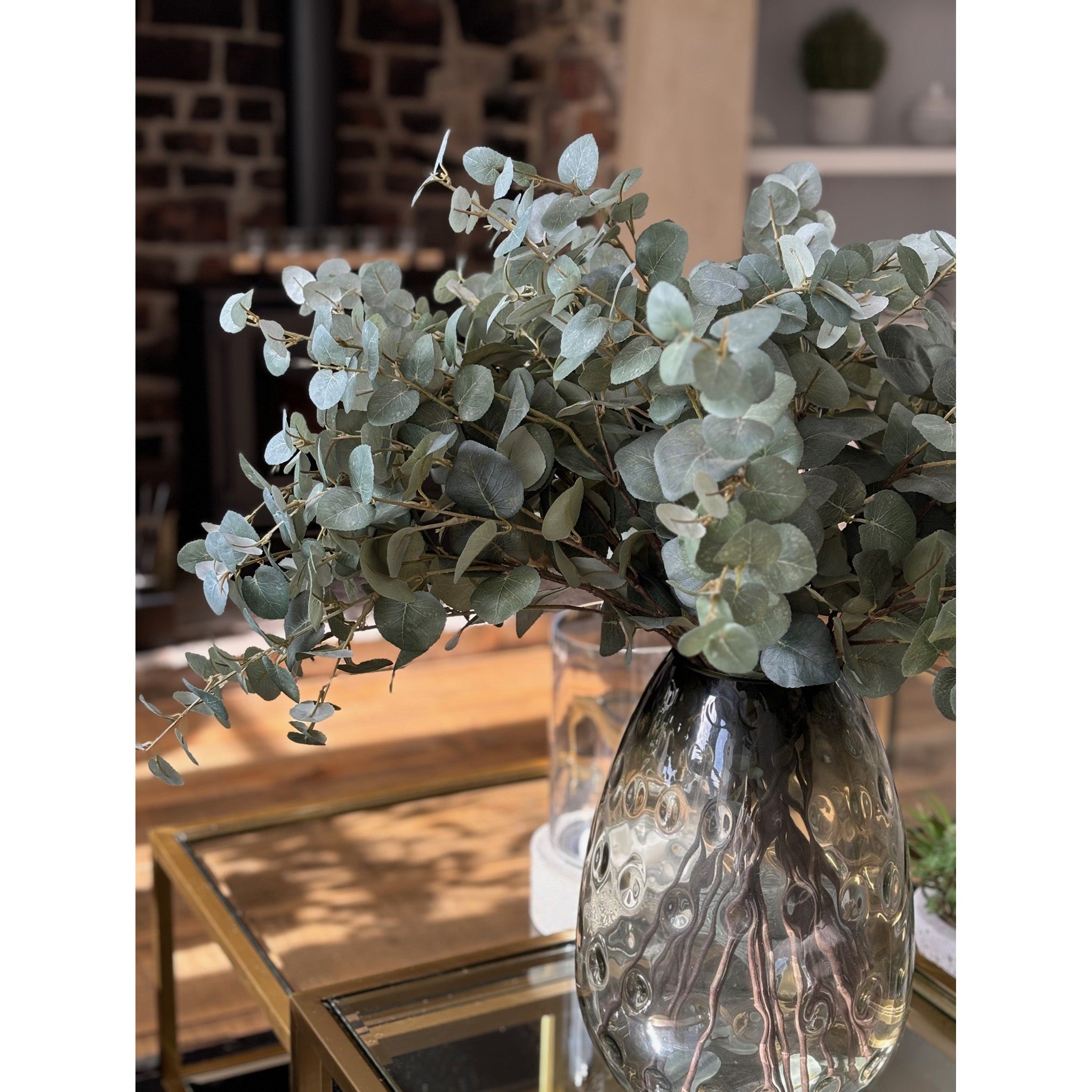 Eucalyptus Stem - Pack of 12